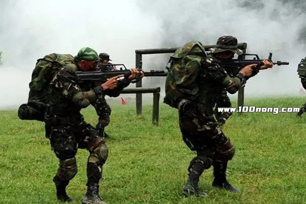 南国利剑特种部队厉害吗