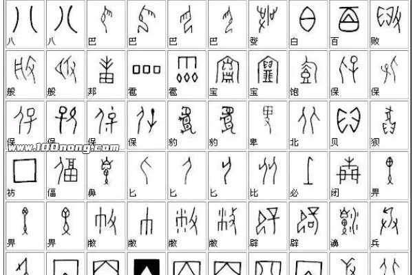 甲骨文字体大全,甲骨文字体的演变过程(单字破译奖励10万元) — 百浓
